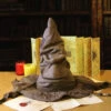 Chapeau Pointu Harry Potter Pour Costume